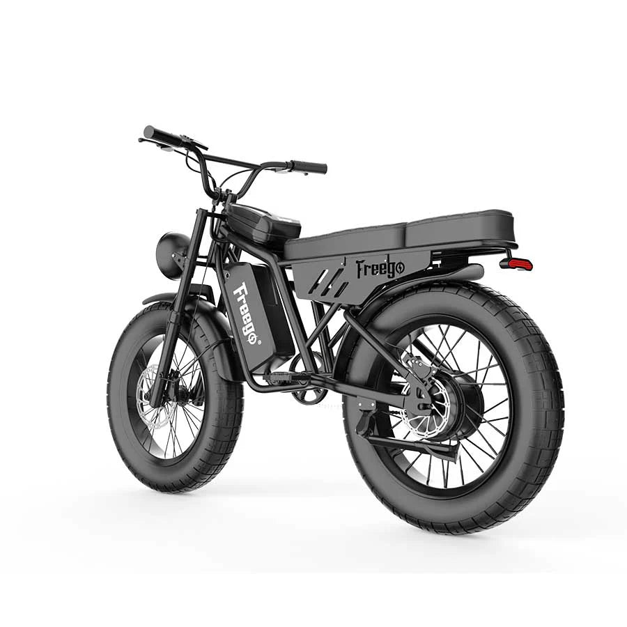 Shotgun Lite F0: Ideal Electric Bike (FREEGO)