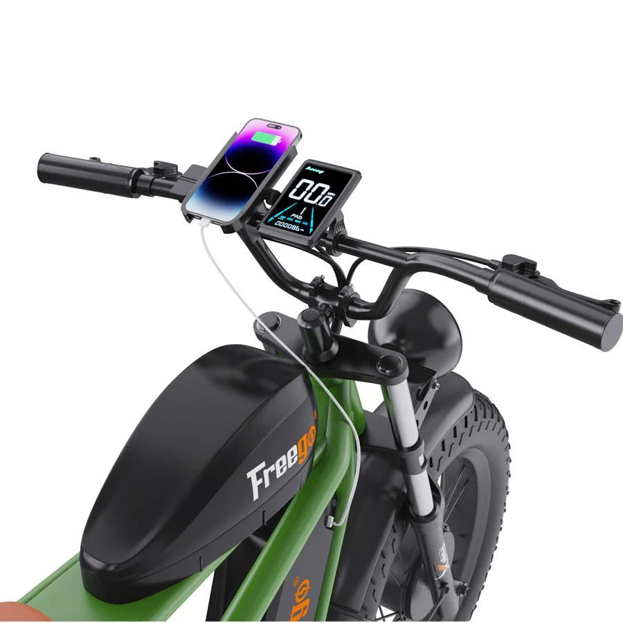 Flash F3 Pro Max Dual Motor and Battery eBike (Freego)
