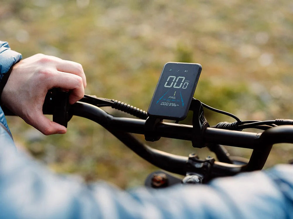 Flash F3 Pro Max Dual Motor and Battery eBike (Freego)