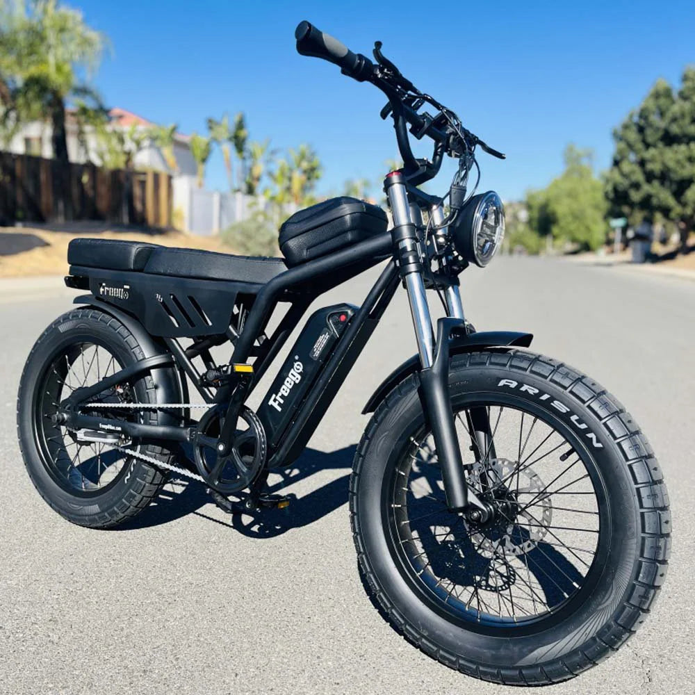 Shotgun Lite F0: Ideal Electric Bike (FREEGO)
